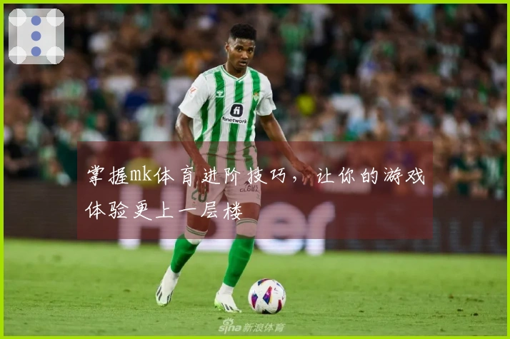 掌握mk体育进阶技巧，让你的游戏体验更上一层楼
