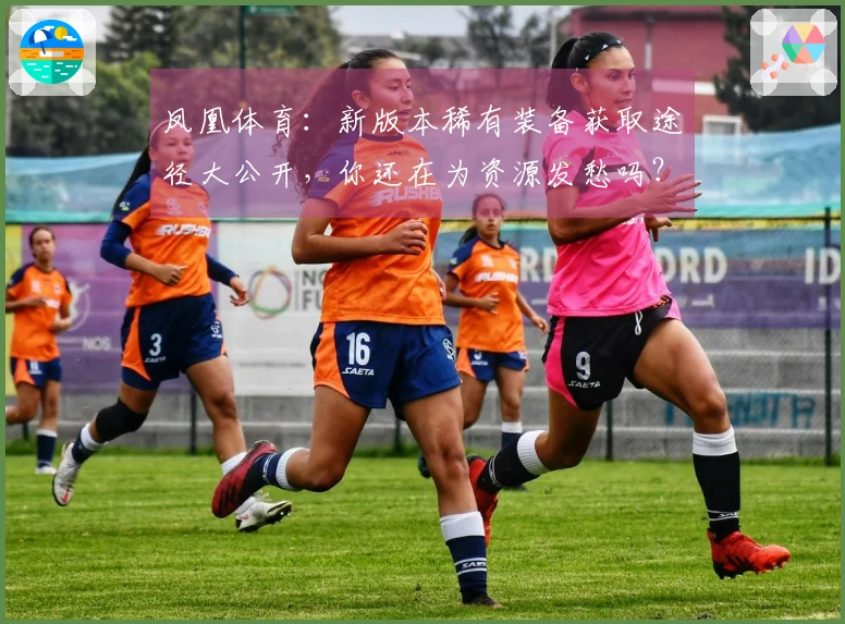 凤凰体育：新版本稀有装备获取途径大公开，你还在为资源发愁吗？